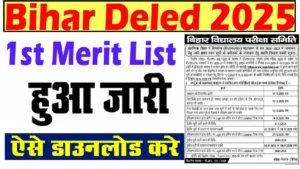 Bihar DElEd Merit List 2025