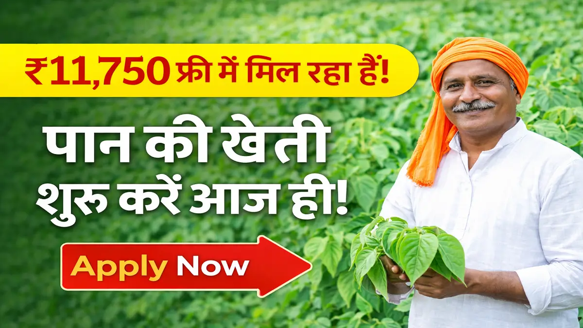 Bihar Paan Vikas Yojana 2026